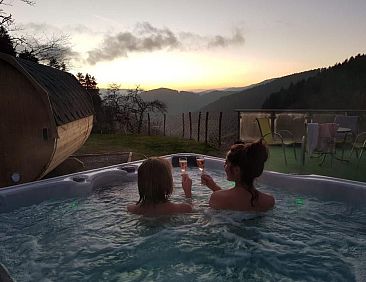 Appartement FeWo mit Whirlpool und Fass-Sauna im Schwarzwald