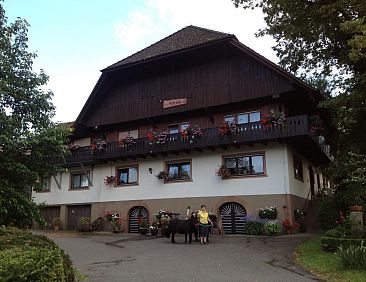 Appartement Wohnung in Unterharmersbach mit Garten und Grill