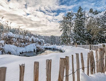 Appartement mit Sauna