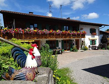 Appartement Schwalbe