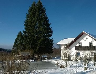 Appartement Wohnung in Haidmühle mit Garten und Grill