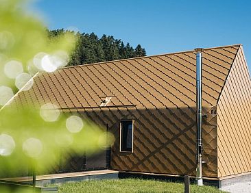 Vakantiehuisje in Viechtach