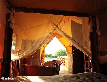 Luxe safaritent