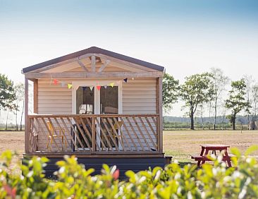 Beach Lodges