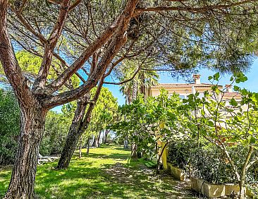 Vakantiehuis Les Chênes