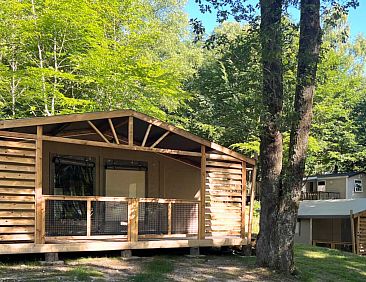 Cotton Flower Canvas Lodge Comfort