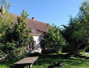 Bouton d'Or  la ferme d'Hélice