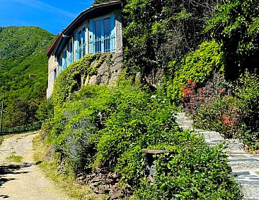Maison TiLLEY