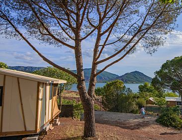 Tiny House Galli