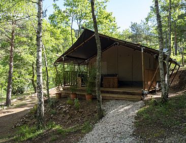 Safari Lodge