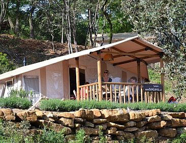 «SunLodge Safari»
