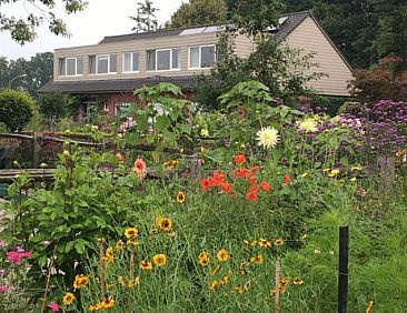 Huisje in Rijkevorsel