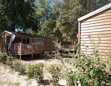 Mobile Home Standard 25m2