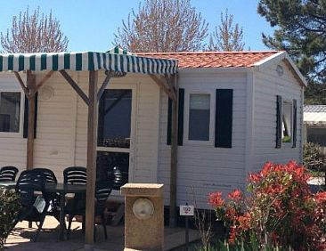 Mobile Home Standard | 2 bedrooms | beachside