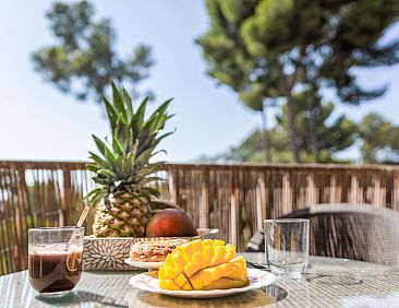 Appartement Tamarissime