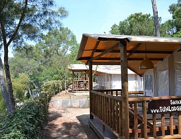 SunLodge Safari