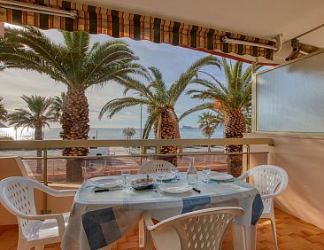 Appartement Dio Brasil