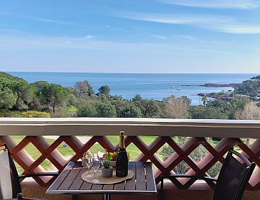 Appartement Le Belvédère (D4 256)