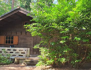 Vakantiehuisje in Lichtaart