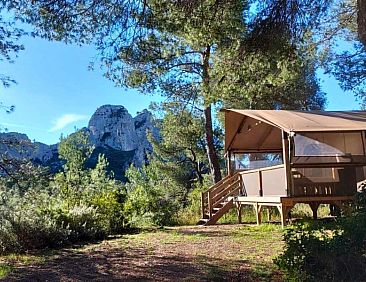 Premium Lodge