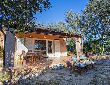 Appartement L'Olivastre