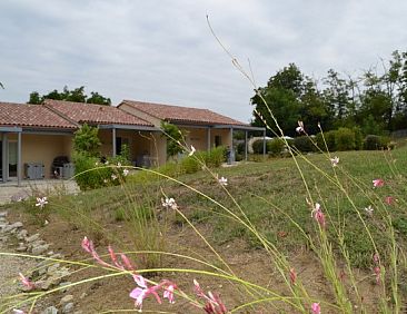 Gîtes-Labarguelonne : gîte Tournesol