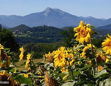 Pyrénées Passions - Sauvegarde