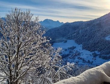 Appartement T du Morel A