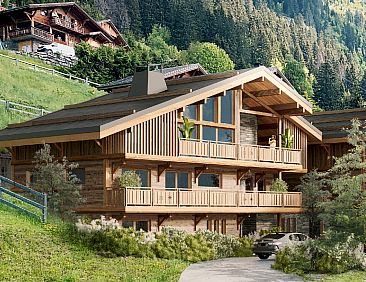 Chalet in Chatel