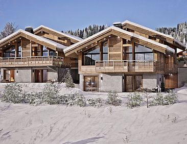 Chalet in Chatel
