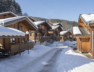 Vakantiehuis Bois de Champelle