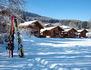 Vakantiehuis Bois de Champelle