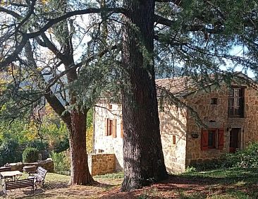 La basse Maza - La Vigne