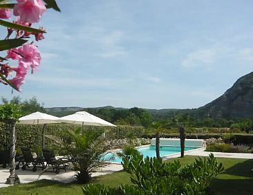 Les Palmiers à Vallon en Ardèche