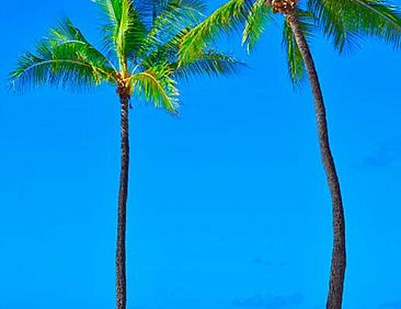 Gone 2 Florida Vacation Homes