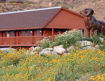 Flat Creek Inn