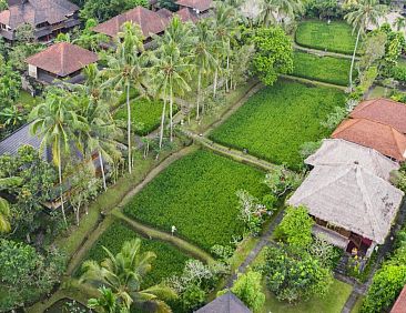 Ananda Ubud Resort
