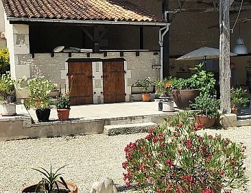 Petit Menot