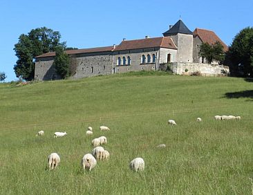 Vakantiehuisje in Tourtoirac