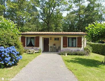 Village Le Chat 23