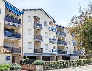 Appartement Bleu Marine