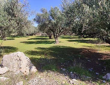 Kavel in Agios Nikolaos, Vathi