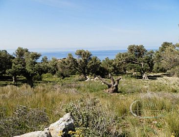 Kavel in Agia Paraskevi