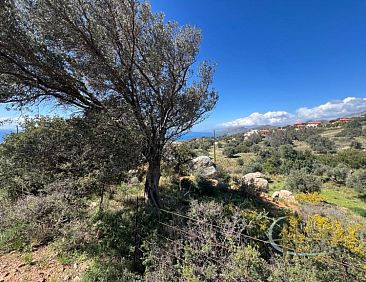 Kavel in Agia Paraskevi