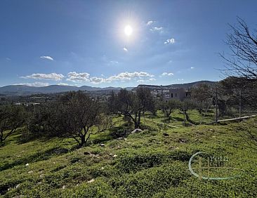 Kavel in Pitsidia