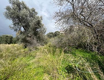 Kavel in Kamilari