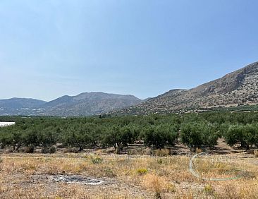 Kavel in Keratokampos