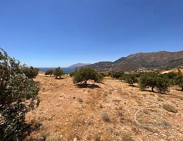 Kavel in Keratokampos