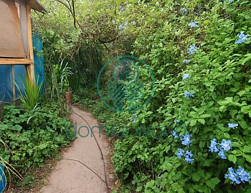 Geschakelde woning in Armenoi