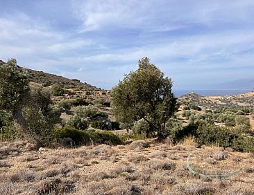 Kavel in Triopetra